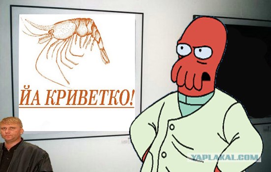 Фотожаба: Молодой ценитель