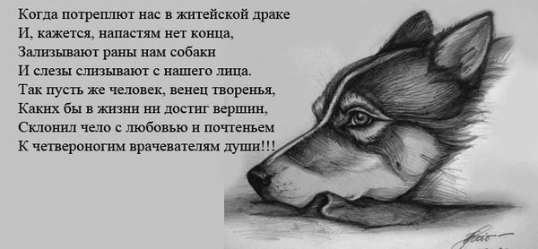 Пазитивные картинки на 13.06.2020
