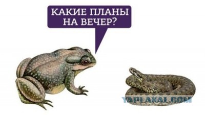 Мужчины перестали добиваться женщин. Объясняю, почему