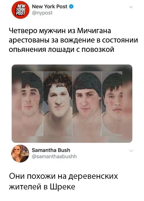 Картинки разнообразные. На злобу дня и на доброту (19.08)
