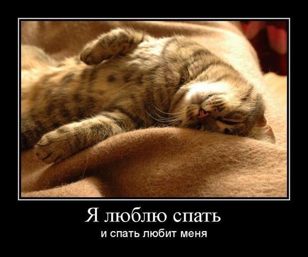 Я мужу сегодня пельмешек сварить обещала