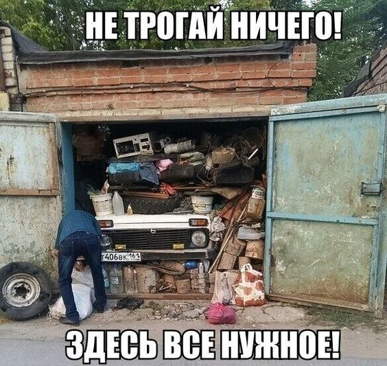 15095037.jpg