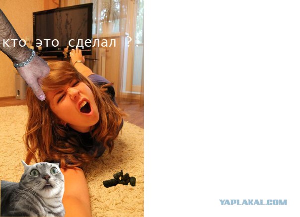 А она просто попросила отфотошопить...
