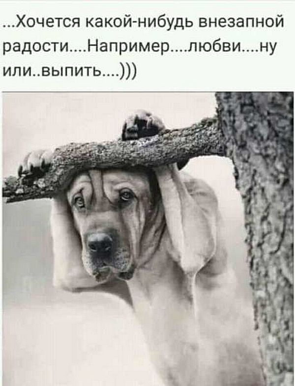 Воскресные картинки