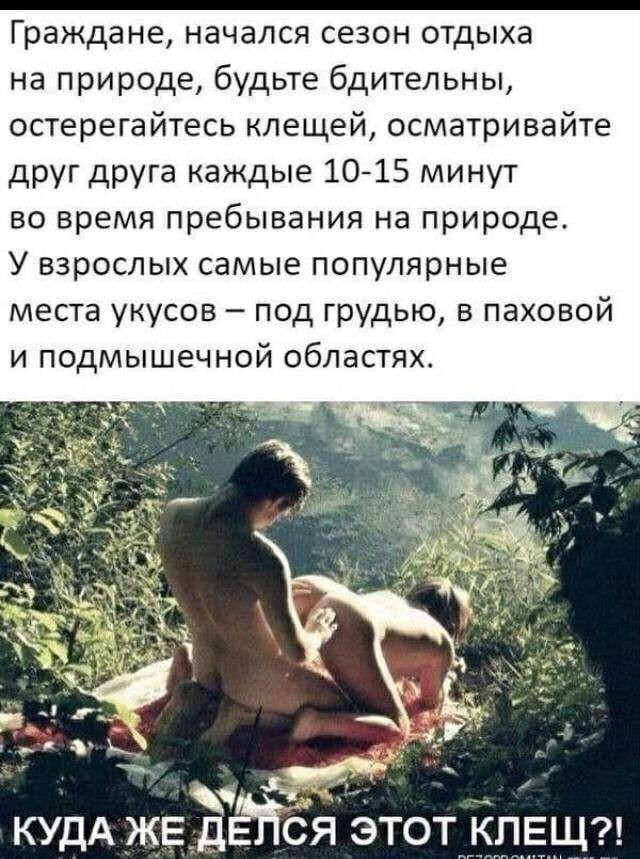 Весёлый полтишок 7.05