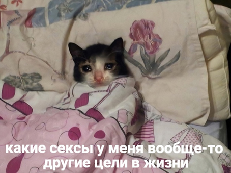 Картинки разные 12.06.2021