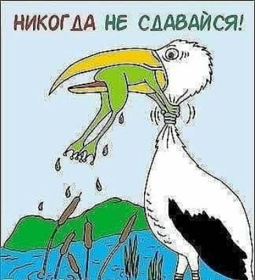 Картинки и мемы для настроения 02.08.2021