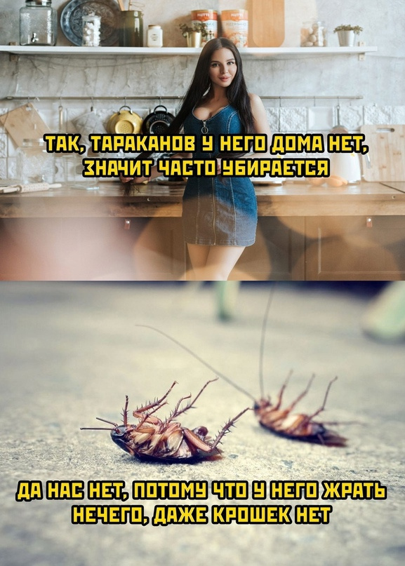 Картинки и мемы для настроения 04.08.2021