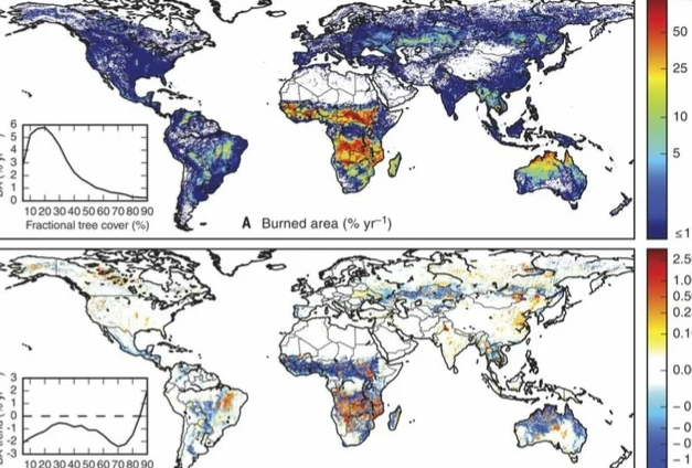 Российские леса постоянно горят, но их биомасса рекордно выросла. Как так вышло и что из этого следует?