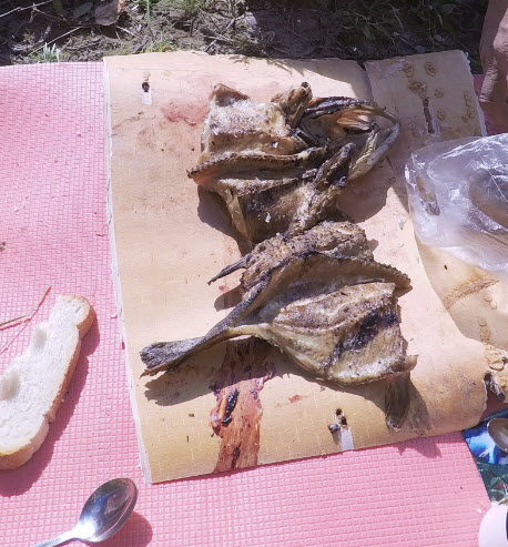Северный Чулым. Рыбалка