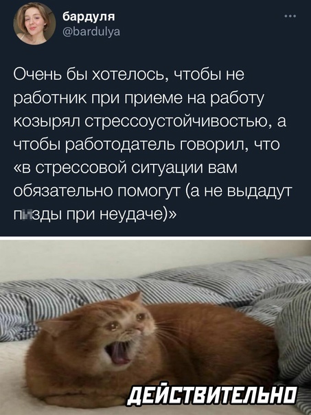 Картинки и мемы, всем прекрасных выходных
