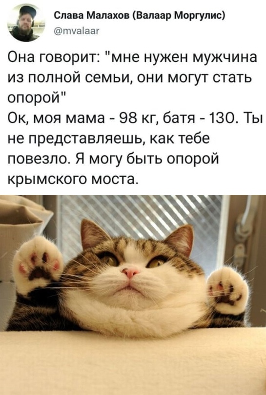 Картинки для поднятия настроения