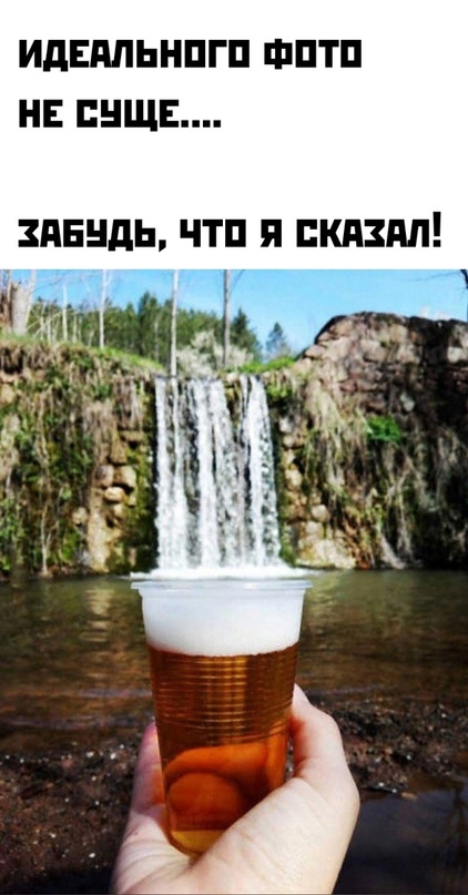 Весёлый полтишок 11.04.22
