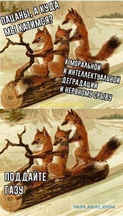 50 оттенков серого.  Vol.14 Или самосвал баянов
