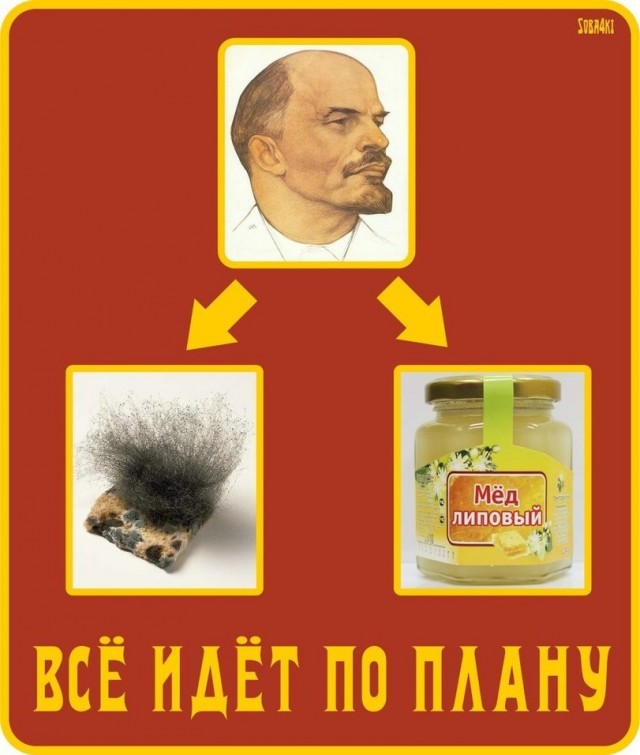 Немного юмора, гуманитарного - 4