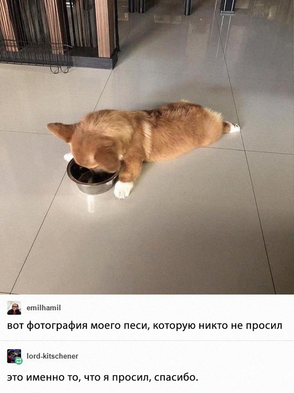 Картинки и мемы для настроения - 27