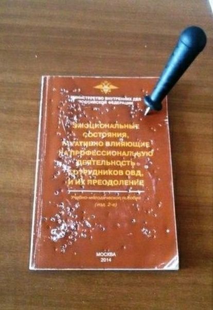 Отвлечься от дичи в жизни.Дичь в картинках-3.