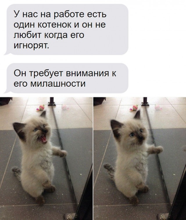 Картинки и мемы. Выходные близко...