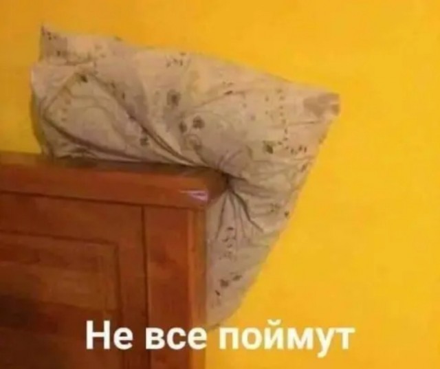 Весёлый полтишок  26.10.22
