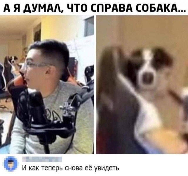 Немного картинок для настроения - 131