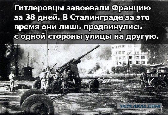 Мы помним