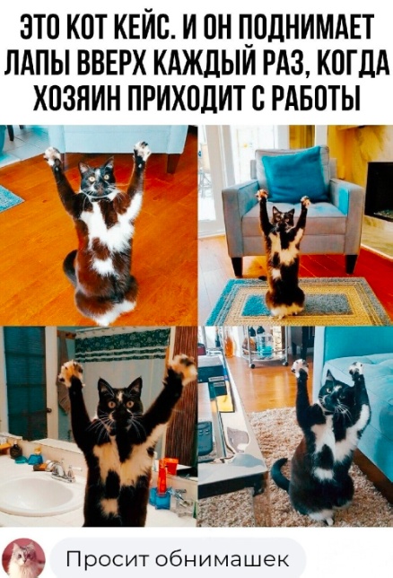 Забавные комментарии из социальных сетей (19.06.23)