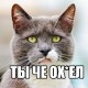 Музыка и музыканты: Amy Winehouse