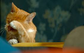 Три главных минуса отношений без обязательств для мужчины