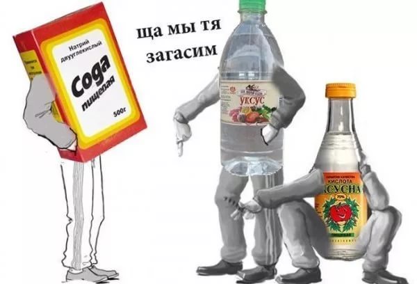 Химия и жизнь