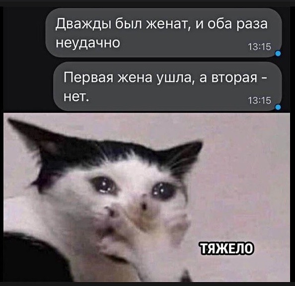 Отряд быстрого деградирования