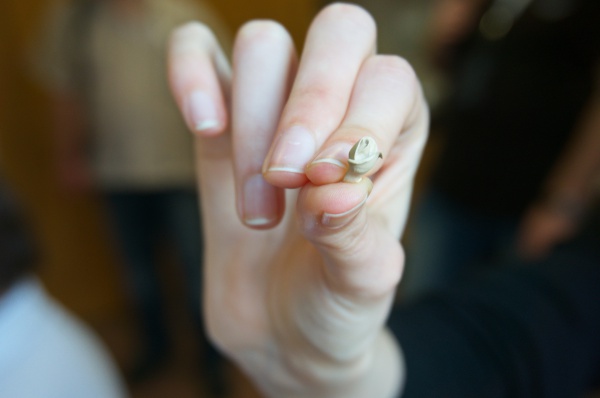 Как делается фарфор