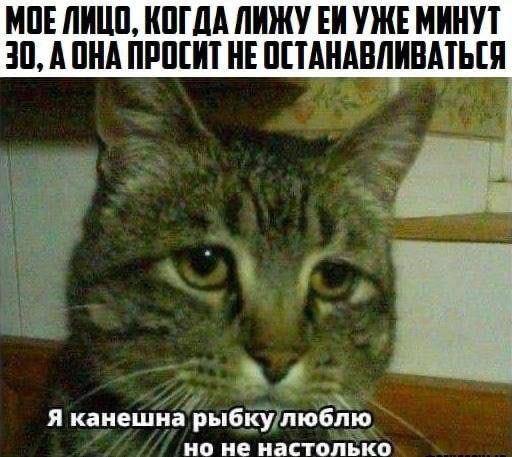 Всего понемногу. От 12.01