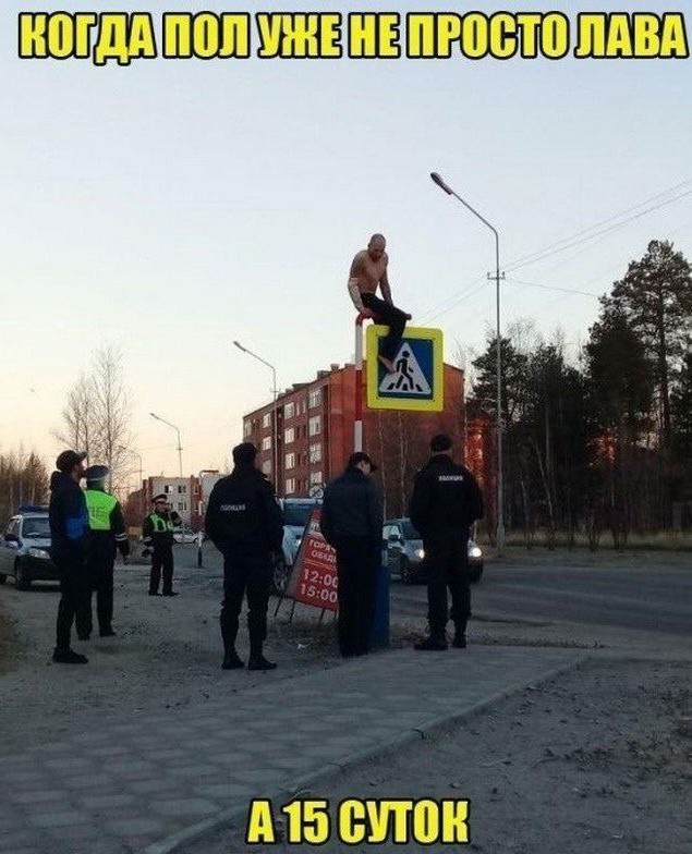 Всего понемногу. От 17.01.24