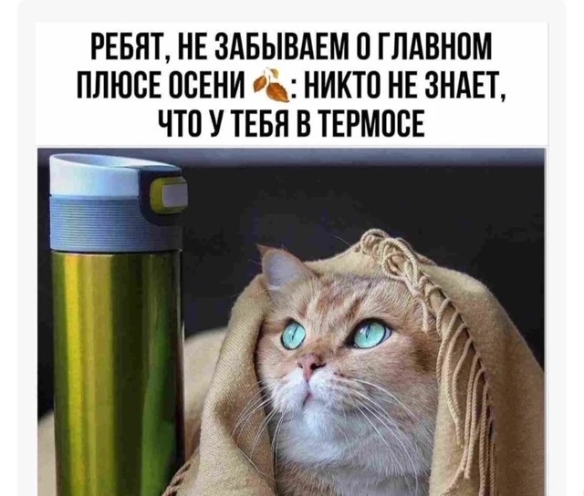 Немножко для пятницы. Солянка