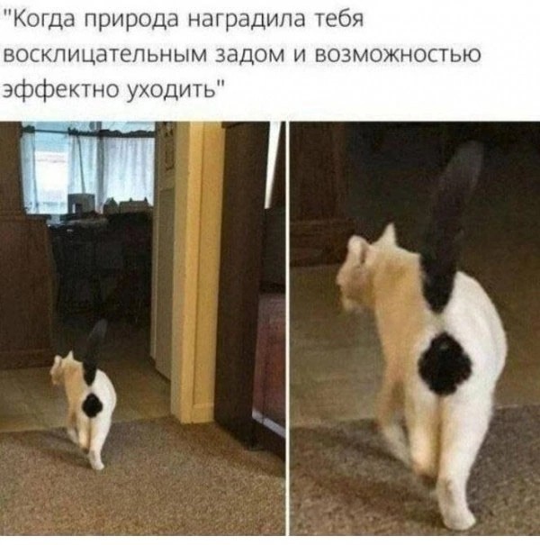 Картинки вечером в четверг
