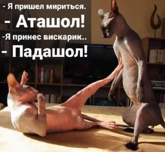 Завалялось тут случайно немного забавных картинок