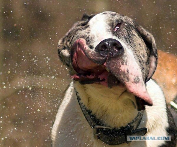 Гипноз действительно работает