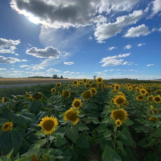 Красивое фото из телефона