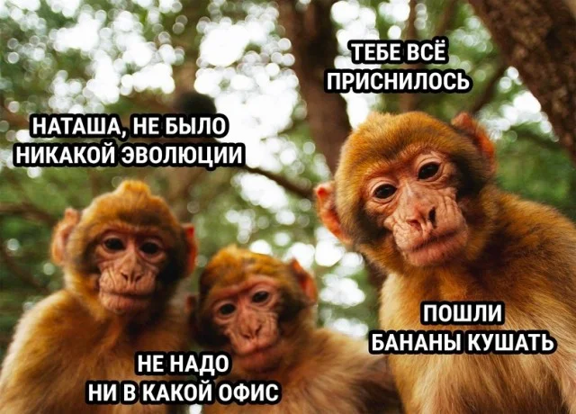 Завалялось тут случайно немного забавных картинок