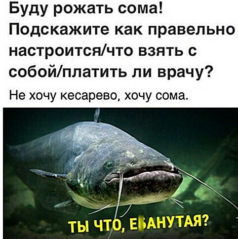 Отказ от подписки