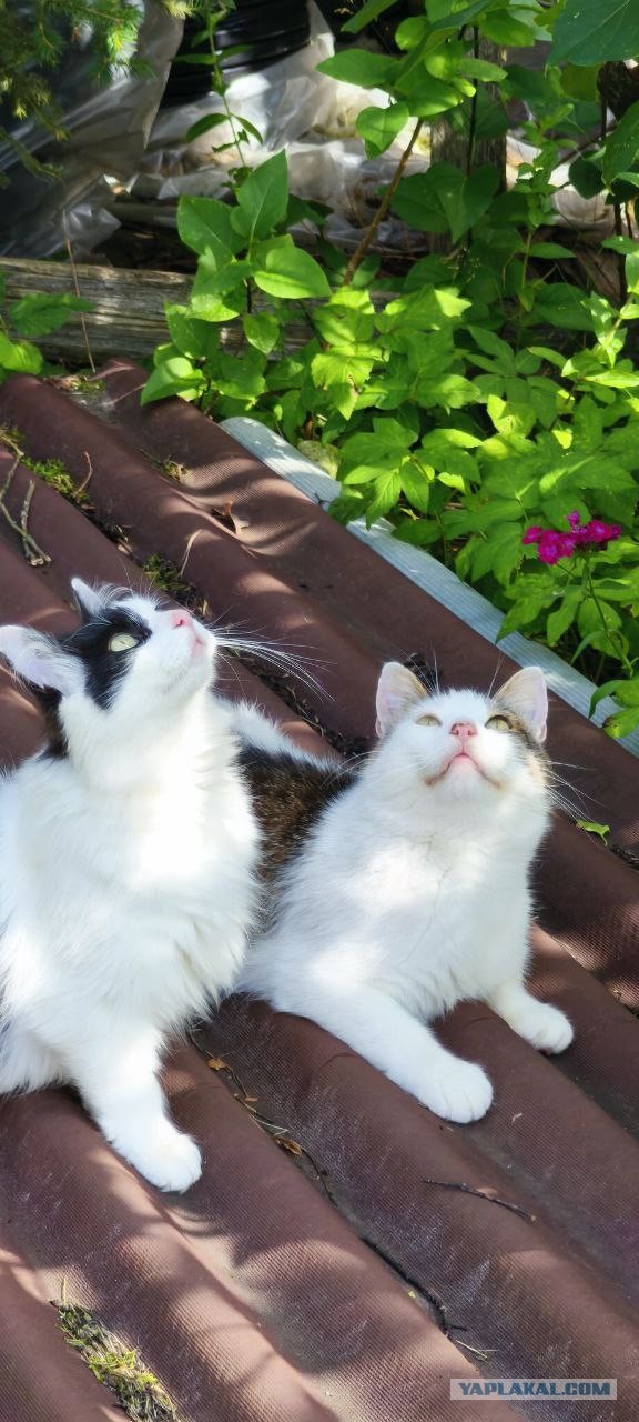 Его первый вторник