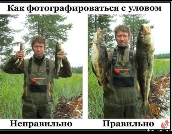 Поймал на донку Шереспера