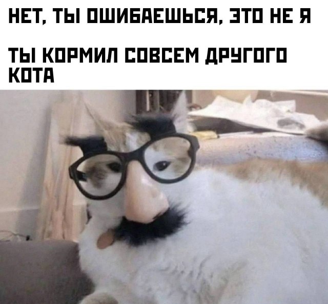 Картинки для деградации 47 (разной степени свежести)