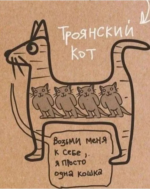 Пакет брать будете?