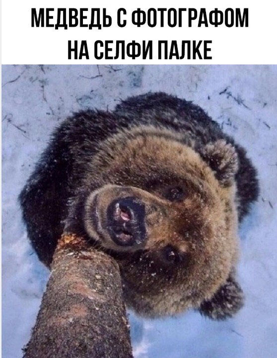 Картинки для деградации 231 (разной степени свежести)
