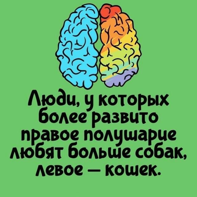 Интересные и короткие факты,на все случаи жизни 23.10.26