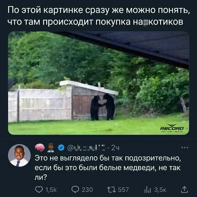 Веселые картинки в пятницу (30.10)