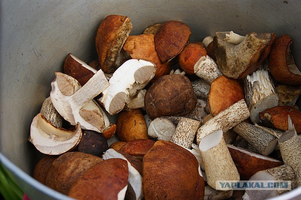 Осень в банках