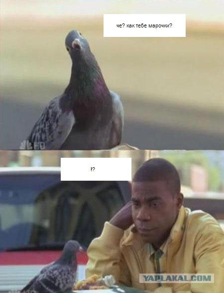 Тонкий намек