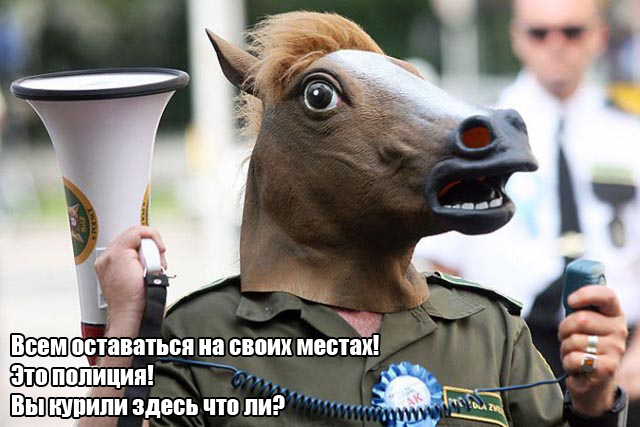 Маленький ответ маленького руководителя